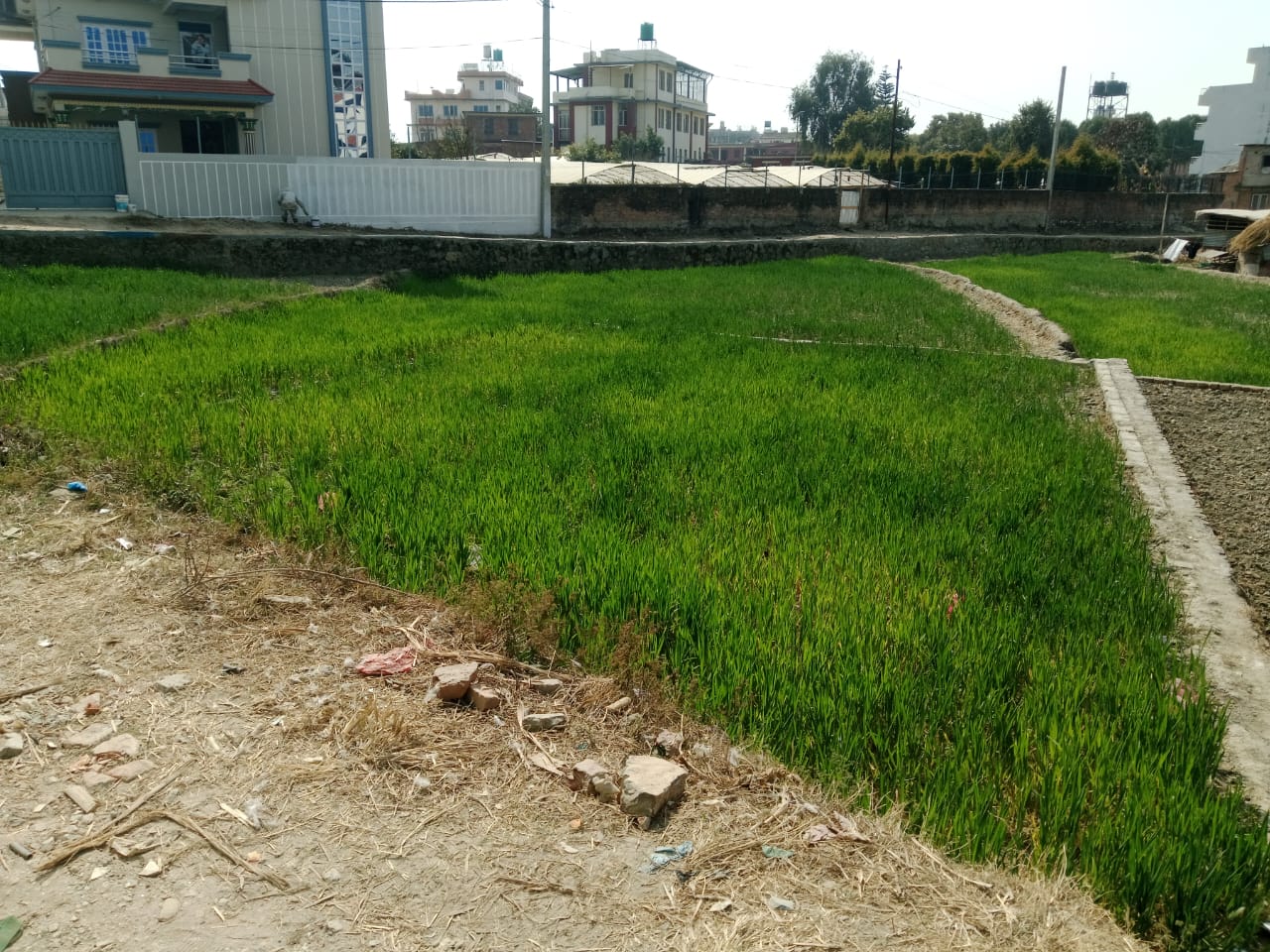 Picture of Mahalaxmi Municipality, Bagmati
